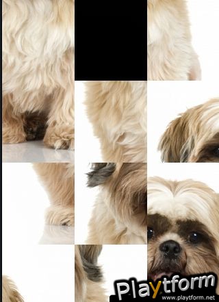 SlidePuzzle - Shih Tzu (iPhone/iPod)