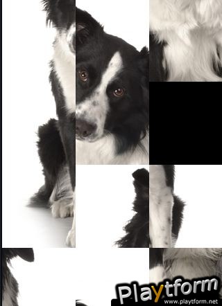 SlidePuzzle - Border Collie (iPhone/iPod)