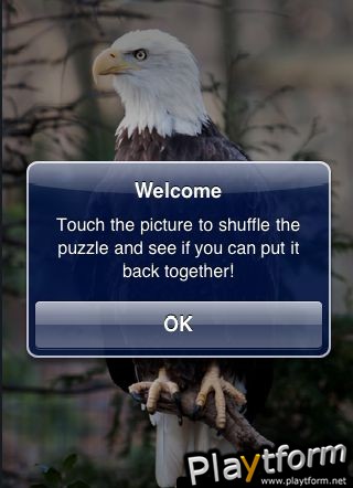 SlidePuzzle - Bald Eagle (iPhone/iPod)