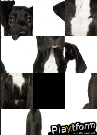 SlidePuzzle - Great Dane (iPhone/iPod)