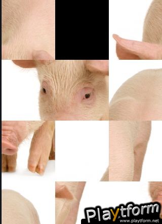 SlidePuzzle - Pig (iPhone/iPod)