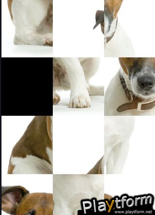 SlidePuzzle - Jack Russel Terrier (iPhone/iPod)