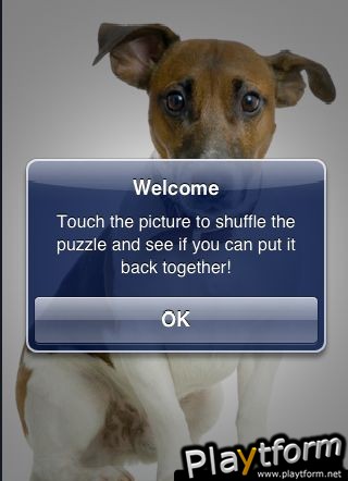 SlidePuzzle - Jack Russel Terrier (iPhone/iPod)