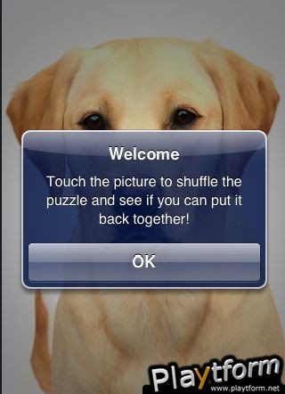 SlidePuzzle - Labrador Retriever (iPhone/iPod)