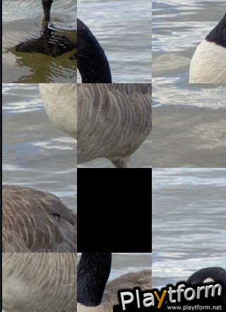 SlidePuzzle - Goose (iPhone/iPod)