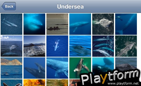 National Geographic's Kingdom of the Blue Whale (iPhone/iPod)