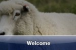 SlidePuzzle - Sheep (iPhone/iPod)