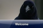 SlidePuzzle - Crow (iPhone/iPod)