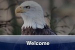 SlidePuzzle - Bald Eagle (iPhone/iPod)