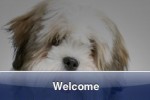 SlidePuzzle - Lhasa Apso (iPhone/iPod)