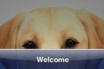 SlidePuzzle - Labrador Retriever (iPhone/iPod)