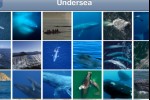 National Geographic's Kingdom of the Blue Whale (iPhone/iPod)