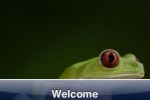 SlidePuzzle - Frog (iPhone/iPod)