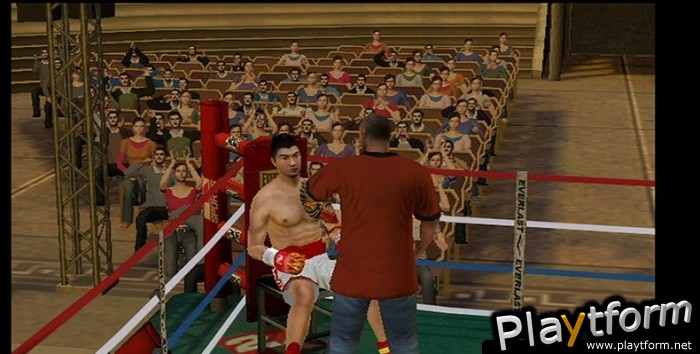 Don King Boxing (Wii)