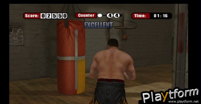 Don King Boxing (Wii)