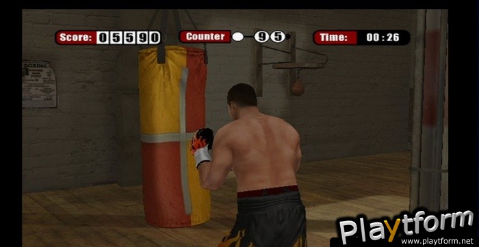 Don King Boxing (Wii)