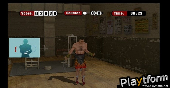 Don King Boxing (Wii)