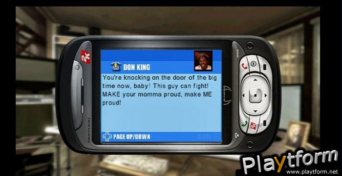 Don King Boxing (Wii)