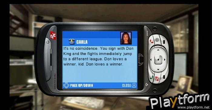 Don King Boxing (Wii)