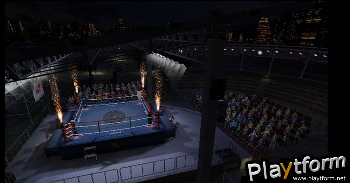 Don King Boxing (Wii)