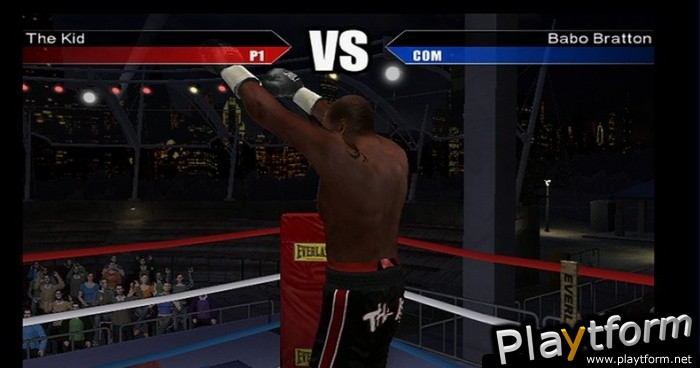 Don King Boxing (Wii)