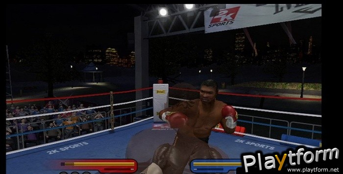 Don King Boxing (Wii)