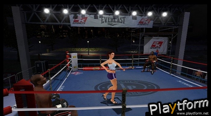 Don King Boxing (Wii)