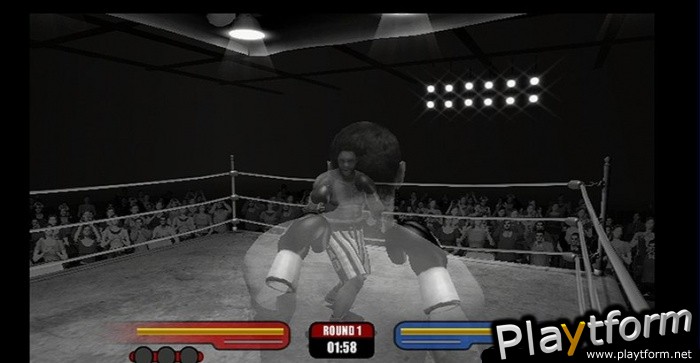 Don King Boxing (Wii)