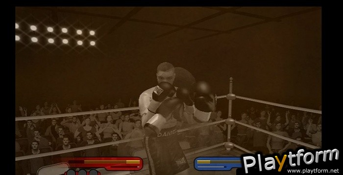 Don King Boxing (Wii)