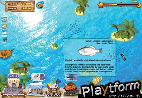 Offshore Tycoon (Wii)