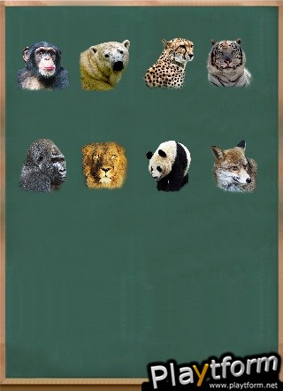 Puzzler (iPhone/iPod)