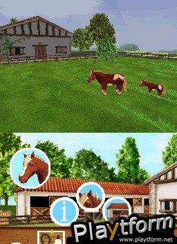 Discovery Kids: Pony Paradise (DS)