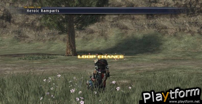 The Last Remnant (PC)