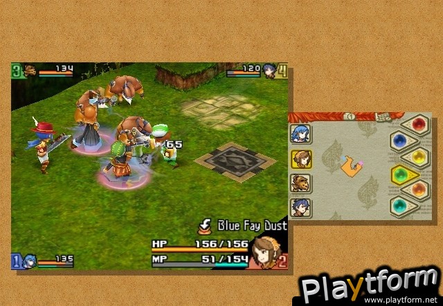 Final Fantasy Crystal Chronicles: Echoes of Time (Wii)