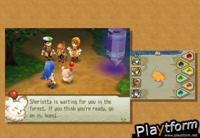 Final Fantasy Crystal Chronicles: Echoes of Time (Wii)