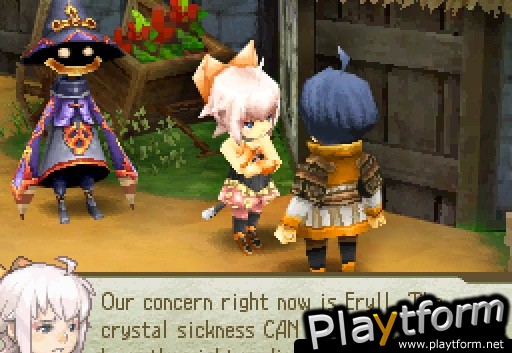 Final Fantasy Crystal Chronicles: Echoes of Time (DS)