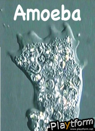 Amoeba (iPhone/iPod)