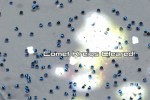 Comet Crash (PlayStation 3)