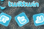 Twittwin (iPhone/iPod)