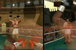 Don King Boxing (Wii)