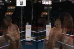 Don King Boxing (Wii)