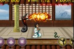 Karate Fighter (iPhone/iPod)