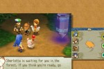 Final Fantasy Crystal Chronicles: Echoes of Time (Wii)