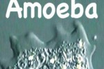 Amoeba (iPhone/iPod)