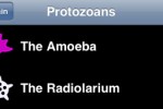 Amoeba (iPhone/iPod)