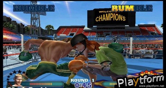 Ready 2 Rumble Revolution (Wii)