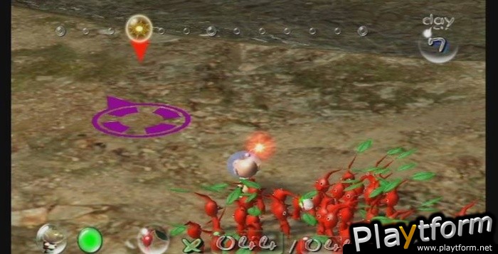 New Play Control! Pikmin (Wii)