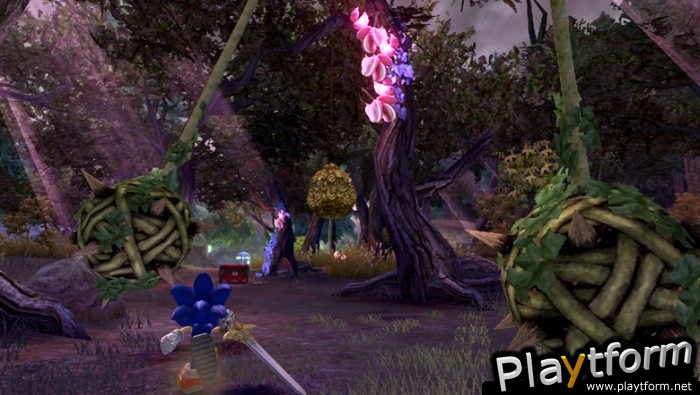 Sonic and the Black Knight (Wii)