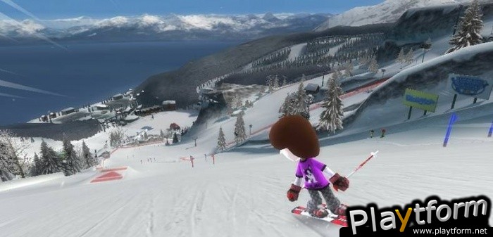 We Ski & Snowboard (Wii)