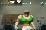 Ready 2 Rumble Revolution (Wii)